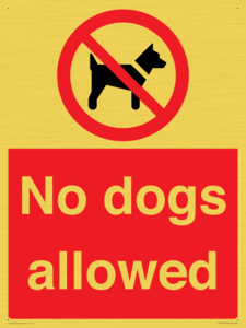 No dogs allowed